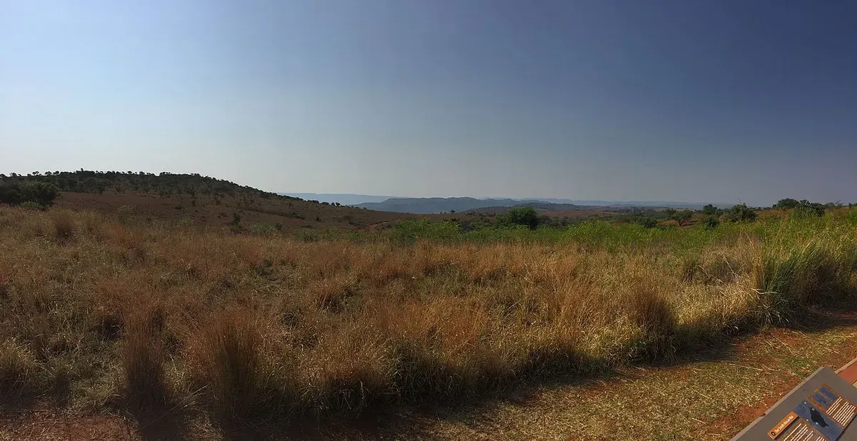 Rolling grassland hills of the Cradle of Humankind World Heritage Site near Johannesburg