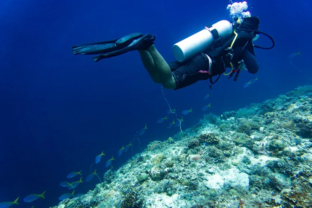 Scuba diver gliding over a colourful coral reef teeming with small fish