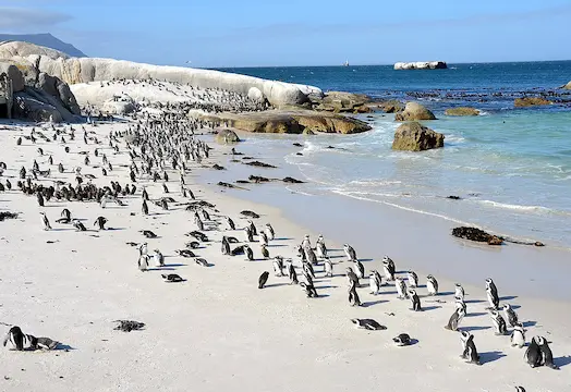 South Africa's Beaches: A Paradise for Beach Lovers