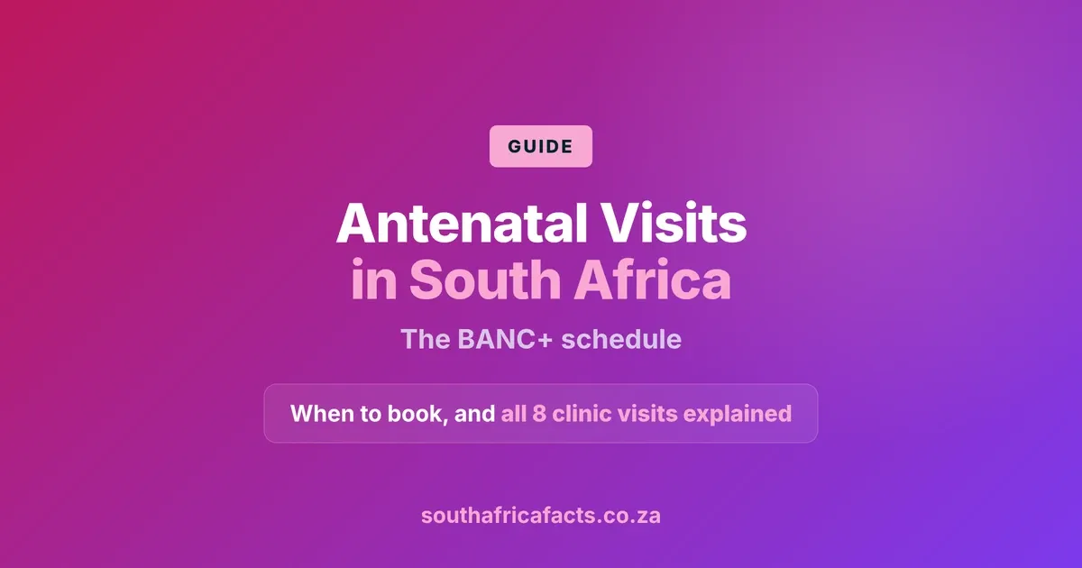 Antenatal visits in South Africa, the BANC+ schedule of eight clinic visits from booking before 12 weeks to 40 weeks.