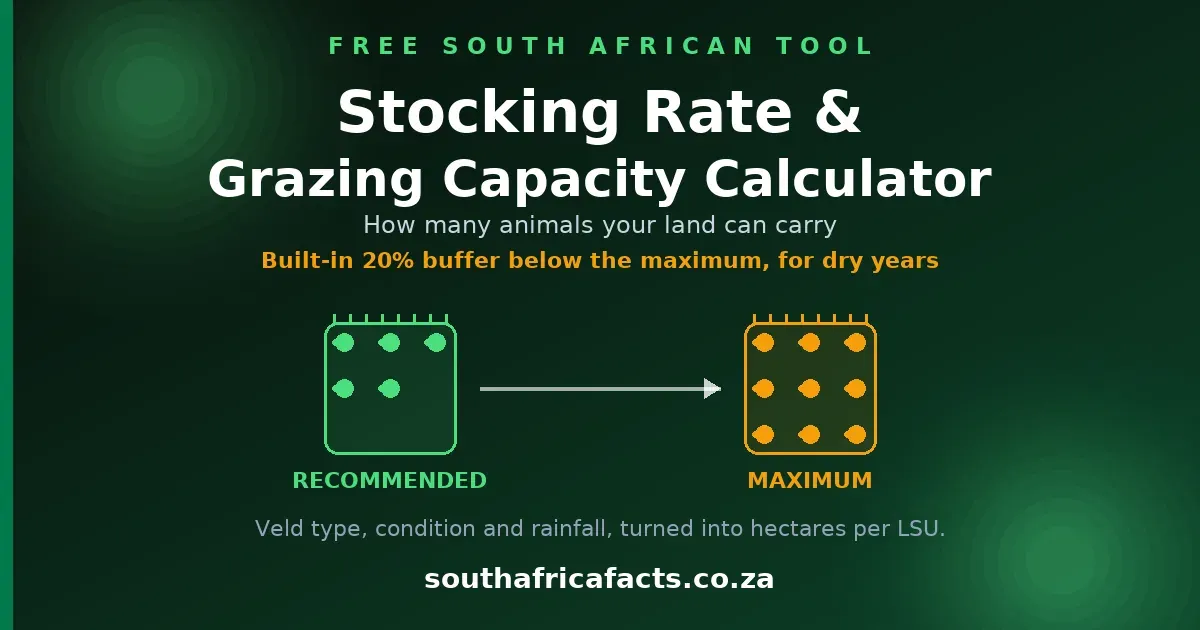 Stocking Rate and Grazing Capacity Calculator card for South Africa Facts: a sparse green recommended paddock next to a denser amber maximum paddock, showing the built-in buffer.