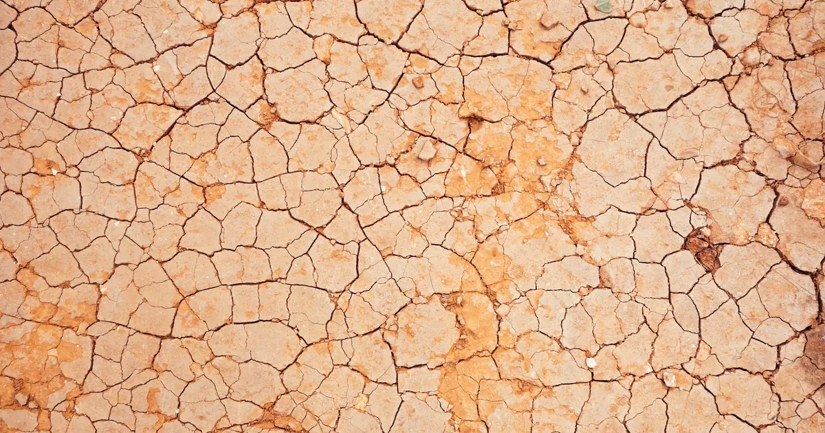 Close-up of cracked, dry earth, illustrating drought conditions linked to El Niño