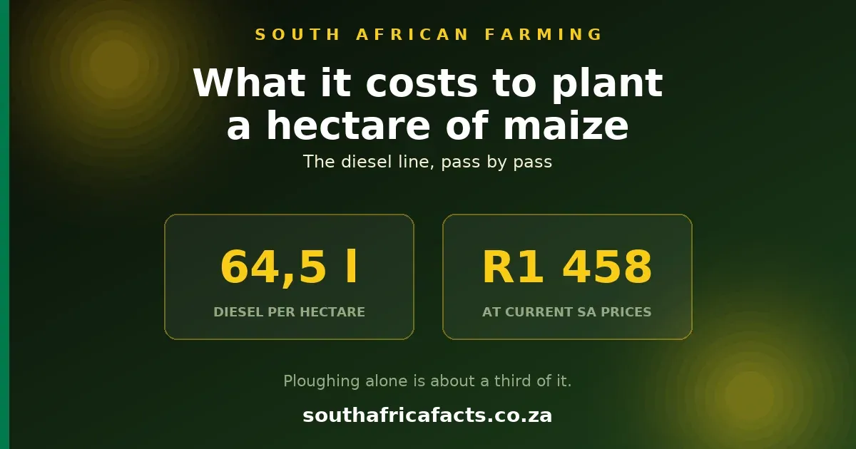 What it costs to plant a hectare of maize in South Africa: 64,5 litres of diesel per hectare costing R1 458, for a conventional dryland programme.