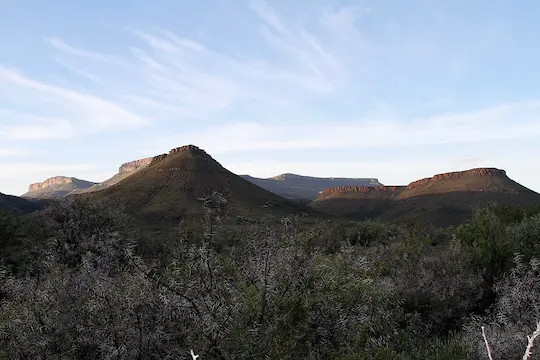 Discover Karoo National Park: A Treasure Trove of Paleontology and Wildlife in South Africa