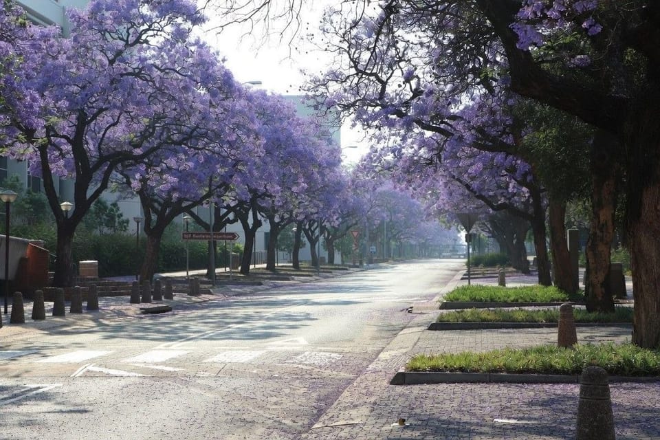 Your Ultimate Pretoria Weekend Guide: Discovering Local Gems