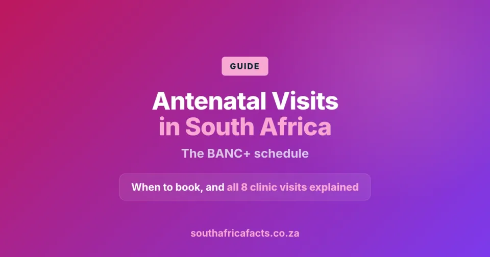 Antenatal Visits in South Africa: When to Book and the Full BANC+ Schedule