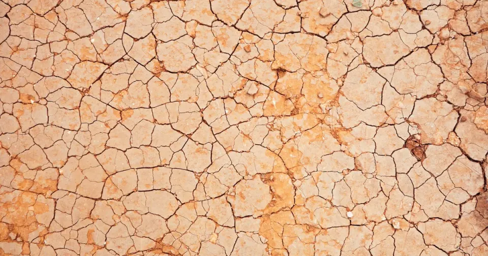 El Niño Is Back: What It Means for South Africa's Weather