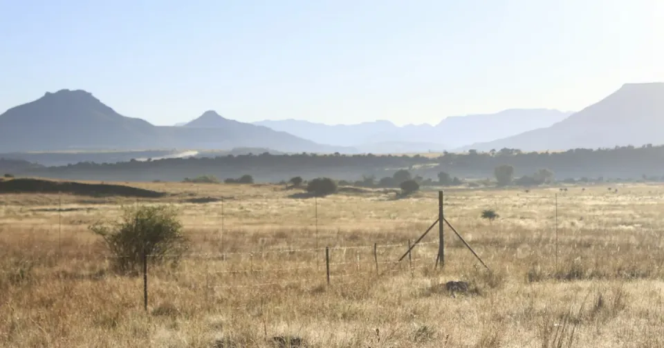 South Africa's Expropriation Act: What It Actually Says, and Why It's Back in Court