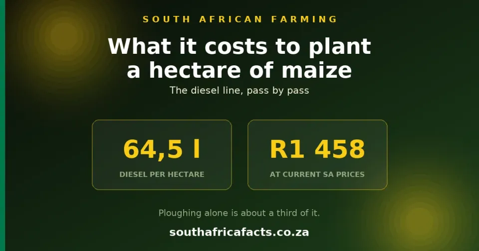 What It Costs to Plant a Hectare of Maize in South Africa